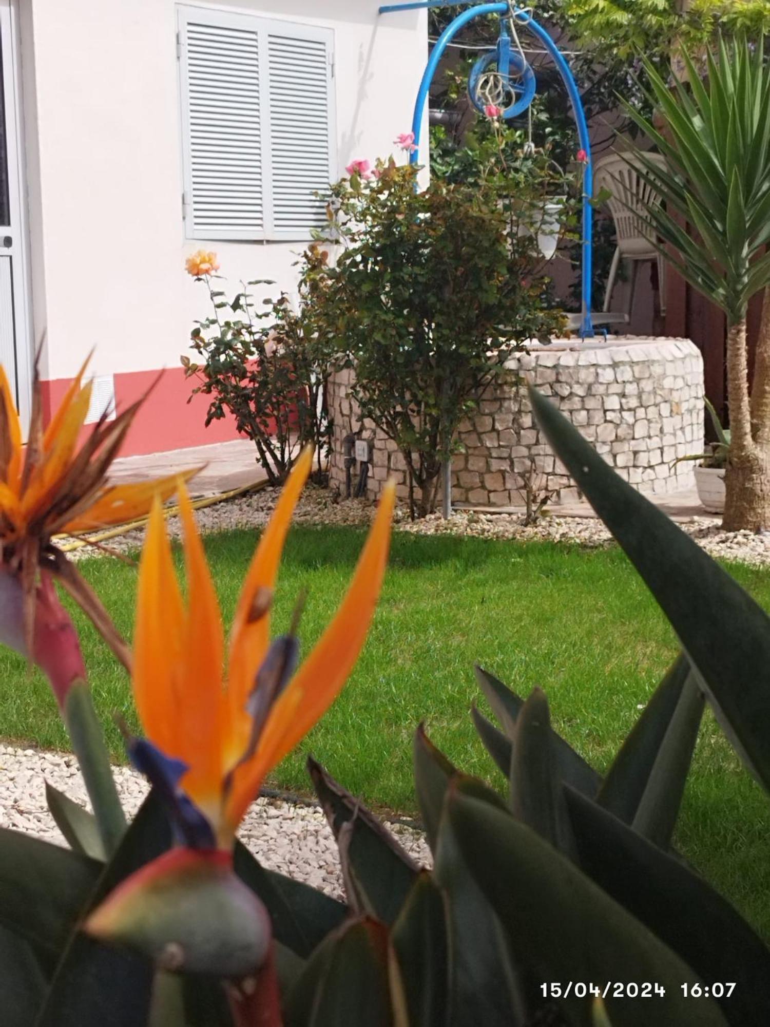 Ferienwohnung Ranch lau&Ri Nazaré Cela Velha Exterior foto